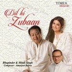 Dil Ki Zubaan - Mitali Singh Song Download